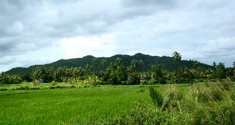 Goa Hill and Landscape - Download Goa Photos